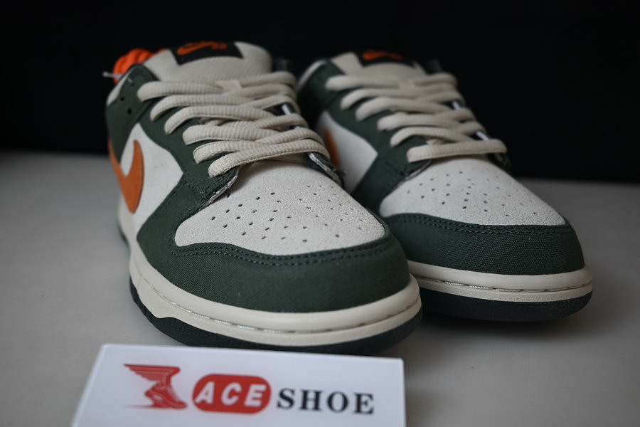 nike dunk sb low "eire" 304292-185