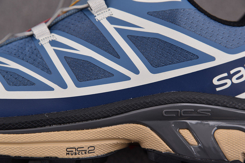 salomon xt-6 advanced