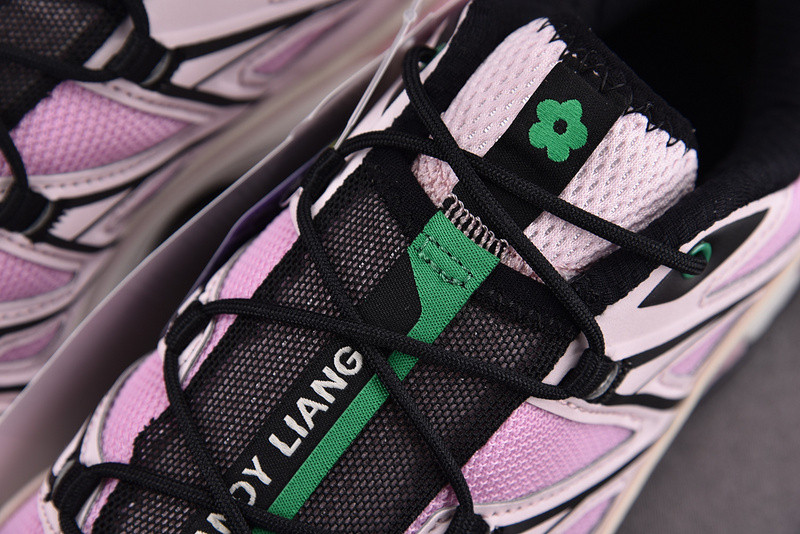 sandy liang x salomon xt-6 expanse