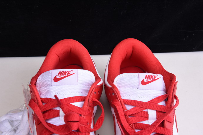 nike dunk low retro sp 